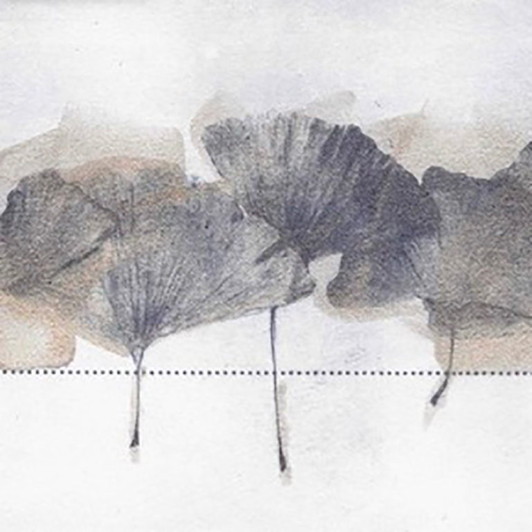 Arbres et bois